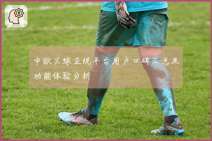 中欧买球正规平台用户口碑汇总及功能体验分析
