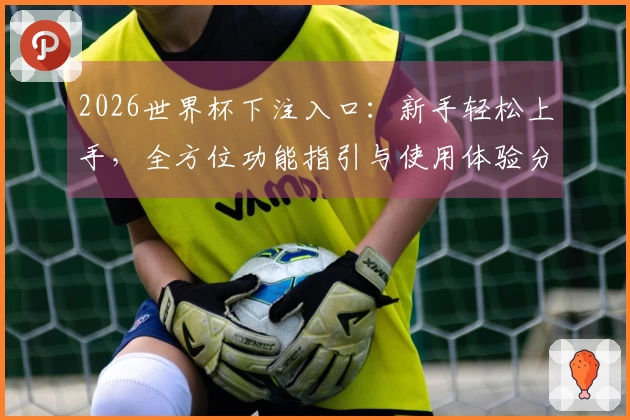 2026世界杯下注入口：新手轻松上手，全方位功能指引与使用体验分享
