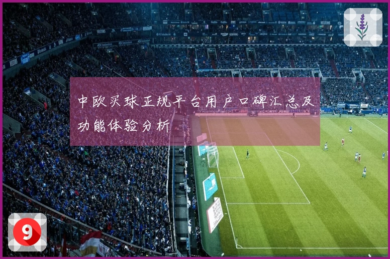 中欧买球正规平台用户口碑汇总及功能体验分析